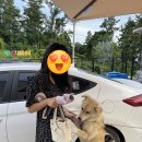 별그리고남해 이미지