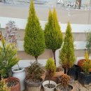 구름뜰농장 이미지