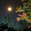 광산구-005 | 「부모 -​ 김소월」, ​ ​ 낙엽이 우수수 떨어질 때, 겨울의 기나긴 밤, 어머님하고 둘이 앉아 옛이야기...