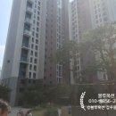 블루자이 이미지