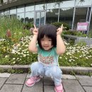 26.5.27(수)-신구대 식물원 탐방(5세) 이미지