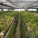 두리농원 이미지