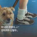 수빈패션 | 투바투 수빈과 함께하는 푸마 스프린트 초콜릿