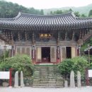 일향(一香) 이미지