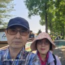 아산 신정호 이미지