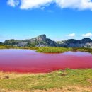 (주)지혜로운세상 이미지