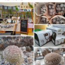 고무신농원 이미지