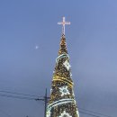 (주)배가랜드 이미지