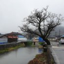 동삼마을회관 이미지