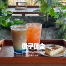 엔젤애견 수족관 화원 | 속초 이색 체험 카페 아쿠아숲 속초