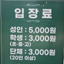 강원도 여름휴가 태백 해바라기 축제 주차 입장료 솔직후기
