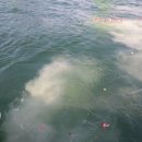 한강성심병원 장례식장 이미지