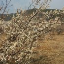 유계농장 이미지