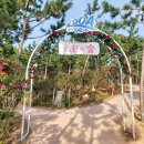 에로스파크 이미지