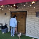 카사데인제 이미지