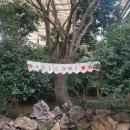 왕궁포레스트 | [익산] 부모님도 좋아하신 전북 실내 여행지 추천, 왕궁포레스트 관람 후기 (투어패스 활용 팁)