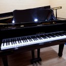 비엔나청소년음악콩쿠르 이미지