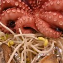 복마차