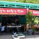해바라기-청춘(1) 네이버블로그