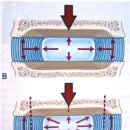 로그짐 송파역점 이미지
