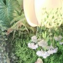 월계농장 이미지