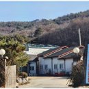 고양이 행복 쉼터 이미지