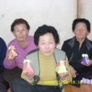 동안리경로당 Daum카페