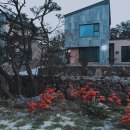 제재텐스빌 이미지