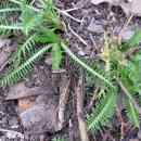 잎소아청소년과의원 이미지