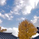 궐리사 화장실 이미지