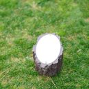 한라산CC 이미지