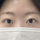 아이원 뷰티 | [서울/강서구] 여행 전 셀프 속눈썹펌 망해서 눈물 흘리다 발산역 '아이원뷰티'에서 복구펌 대성공한 후기