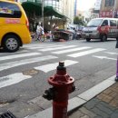 신호등약국 이미지