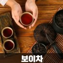 보이차이야기 | 보이차 다이어트 후기 왜 이렇게 많을까