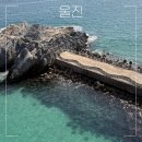 울진중앙로 | 🌊동해 감성 울진 여행코스 추천! 대게·레일·성류굴까지 알차게~