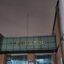 대전 수영강습 사이언스도룡 스포츠센터 3개월 후기