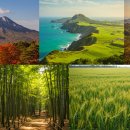 늘풍성한우촌 | 전시회를 보러 온 듯, 가는 곳마다 풍경이 명화가 되는 국내 자연 여행지 BEST 4