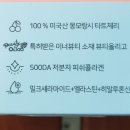 체리뷰티 이미지