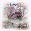 낙동제방 자전거도로 | 부산 벚꽃명소·낙동제방길벚꽃 축제·실시간 개화 소식
