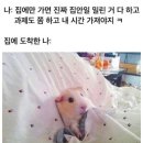 일주일 동안 친구들과 놀았던 횟수를 구하시오.