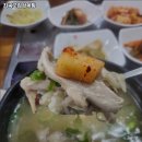 최씨고집삼계탕 이미지