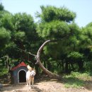 한솔농원 이미지