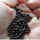 삼덕약국 이미지