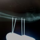 애경동물병원 이미지