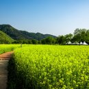 옥천개발주식회사 - 임실군 | 옥천개발주식회사