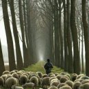 Time Terminal Hotel 이미지