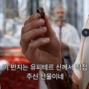 또왕또왕 Dog Salon | 언니가 내 남자를 훔쳤지만 나는 황제를 얻었다 결말 후기 스포
