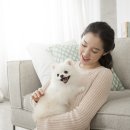 더개 이미지