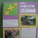 태현이네 이미지