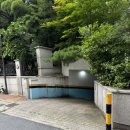 골든햄스터분양 햄츠비 이미지